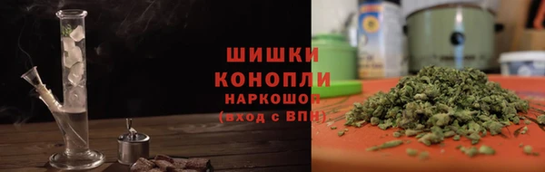 spice Богородицк